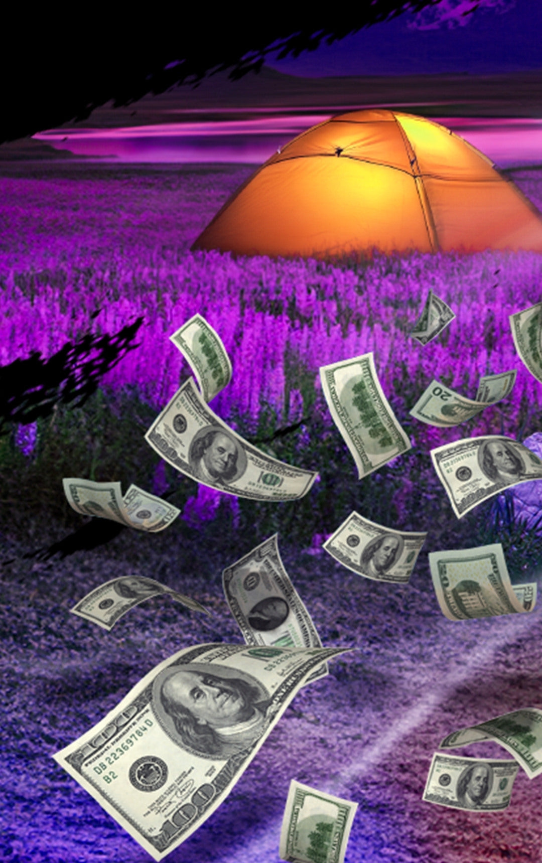 Manifesting Million Dollar in 10 Months Using Profound Tools - Online One-On-One Live Program